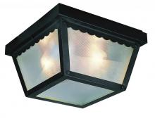  4902 RT - Samantha 2-Light, Scalloped Edge, Traditional Outdoor Flush Mount Ceiling Light